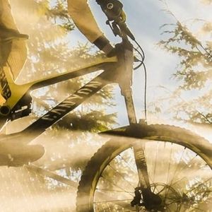 Meet your Posher, Ben